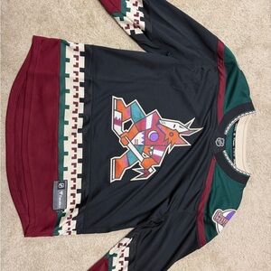 Arizona coyotes hockey jersey Sal